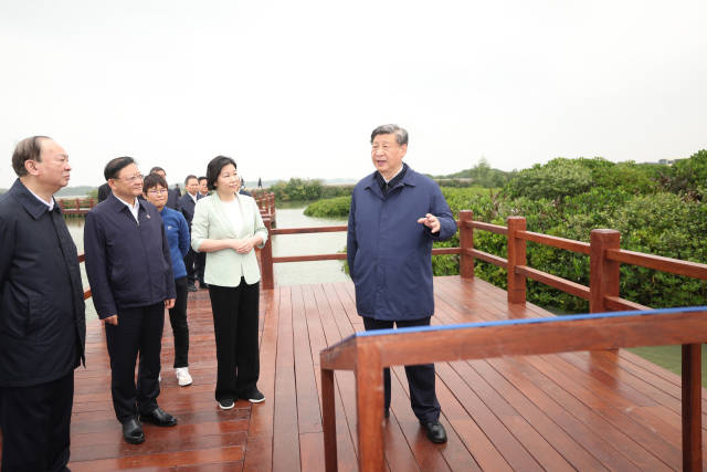 4月10日至13日，中共中央总书记、国家主席、中央军委主席习近平在广东考察。这是10日上午，习近平在湛江市麻章区湖光镇金牛岛红树林片区考察。 新华社记者 鞠鹏 摄