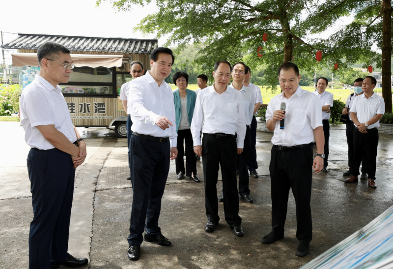 20230628楚平主任江门台山调研桂水村郭晴摄影6.jpeg