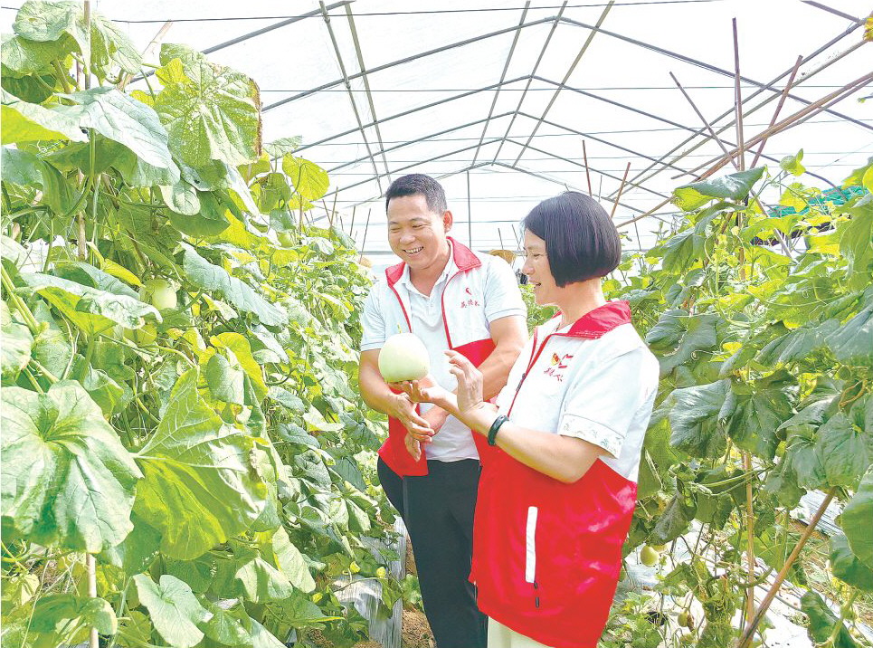 清远全过程.jpg