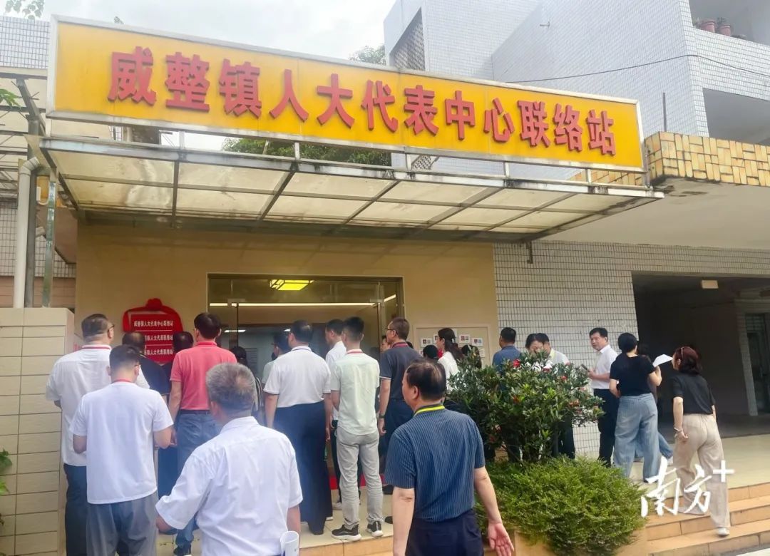 肇庆绿美3.jpg