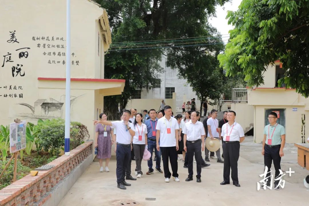 肇庆绿美2.jpg