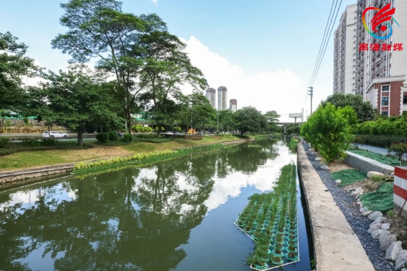 南海33.jpg