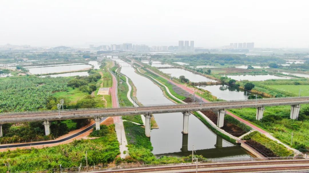 东莞谢岗3.jpg