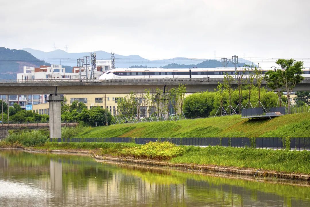 东莞谢岗1.jpg