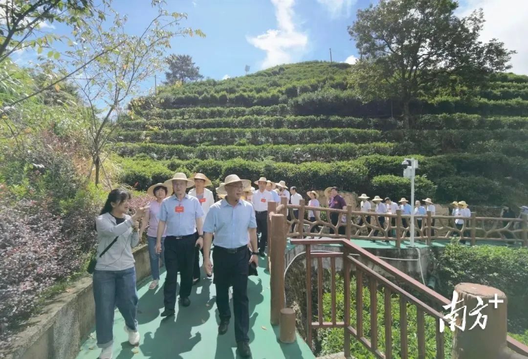 广东绿美总结4.jpg