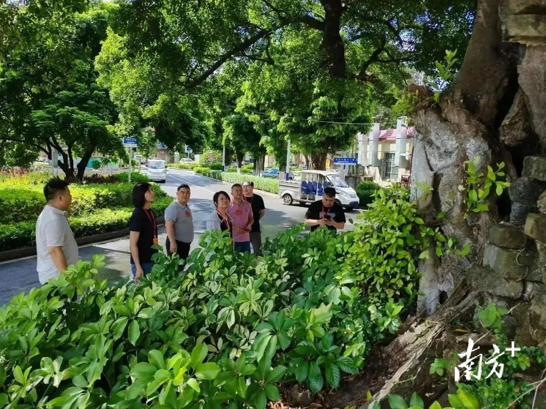 广东绿美总结3.jpg