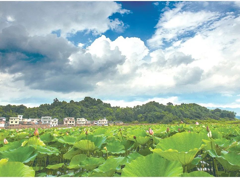 清远龙坪.jpg