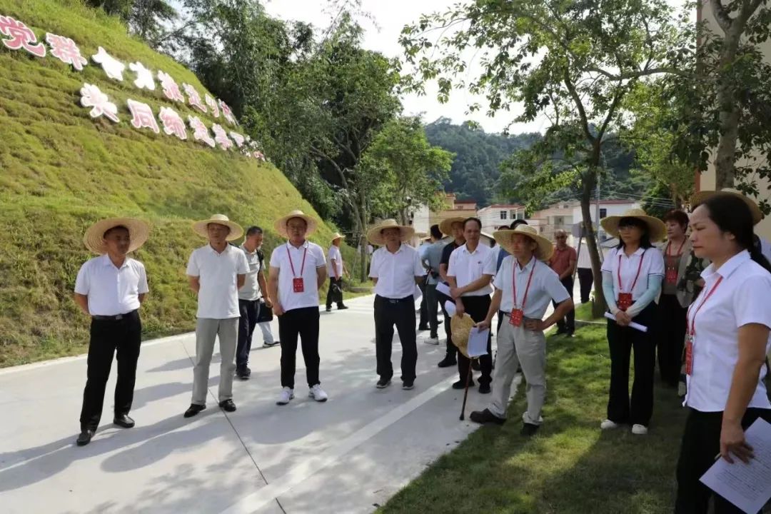 云浮新1.jpg