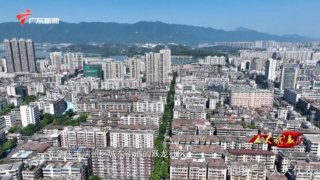 1109代表8.jpg