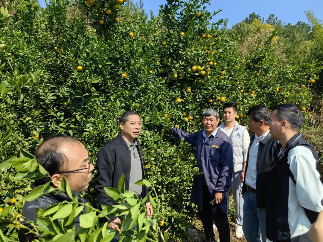 连州.jpg