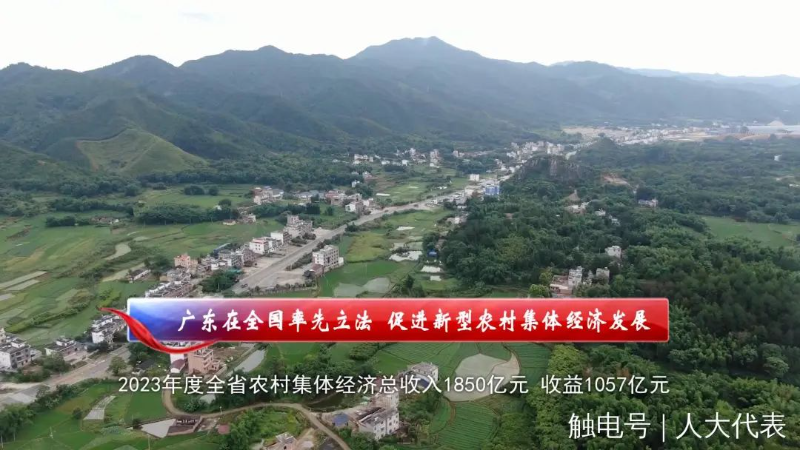 1221代表7.jpg