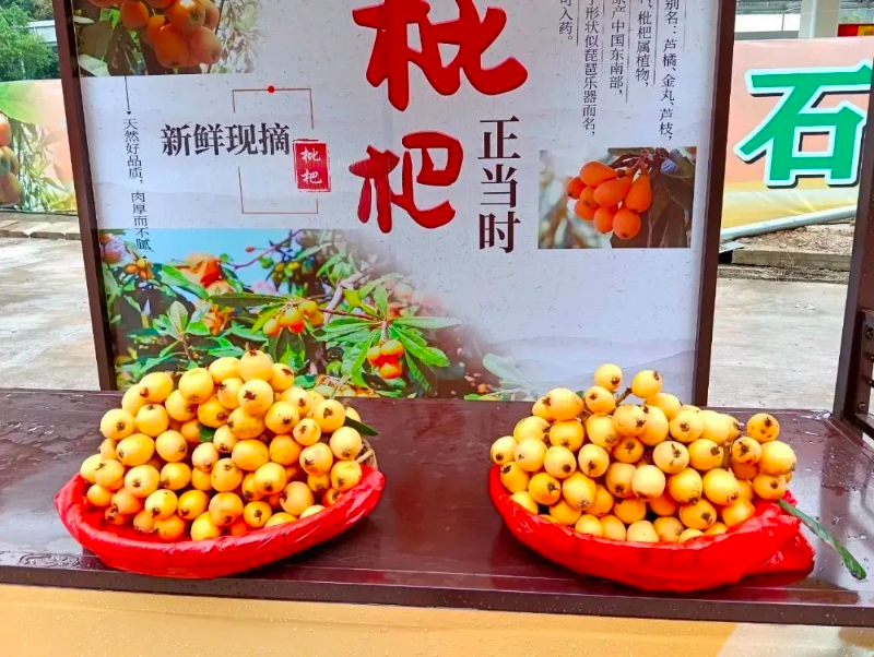 云浮云安1.jpg