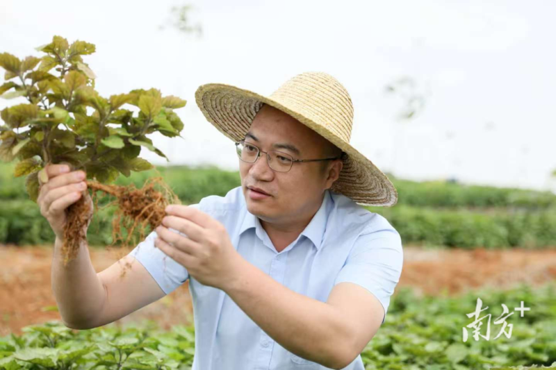 郑杰.png