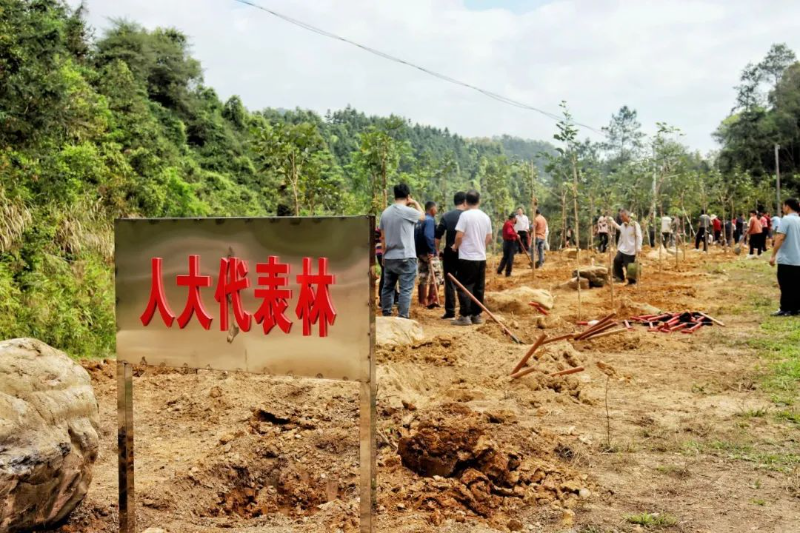 云浮罗定2.jpg