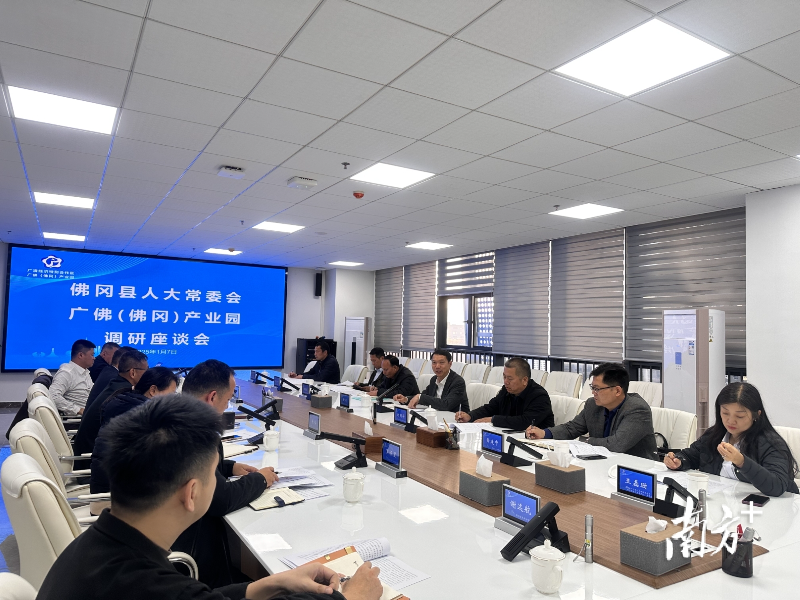 清远佛冈人大.jpg