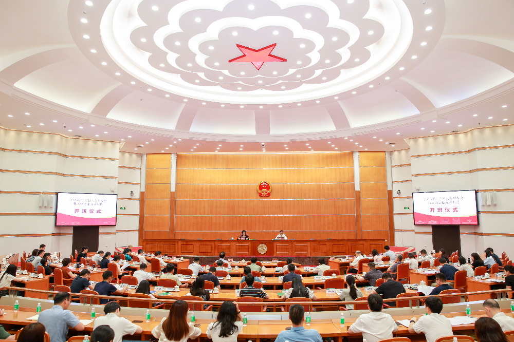秘书长加四龙全景.jpg