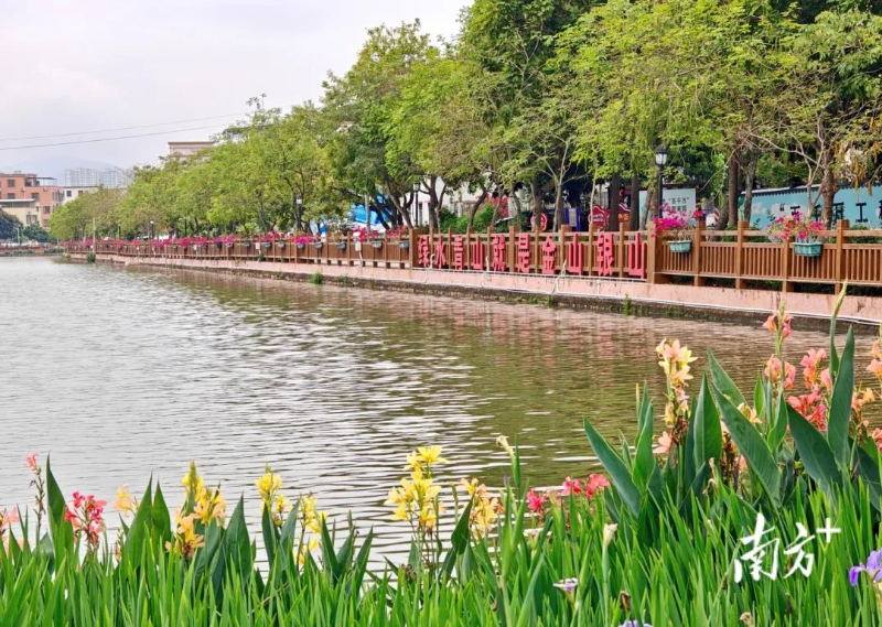 前山河中珠协同治水记1.jpg