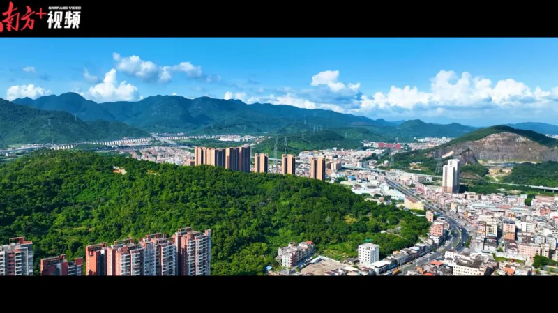 惠州代表1.jpg