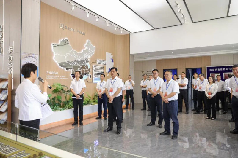 南海现代化1.jpg