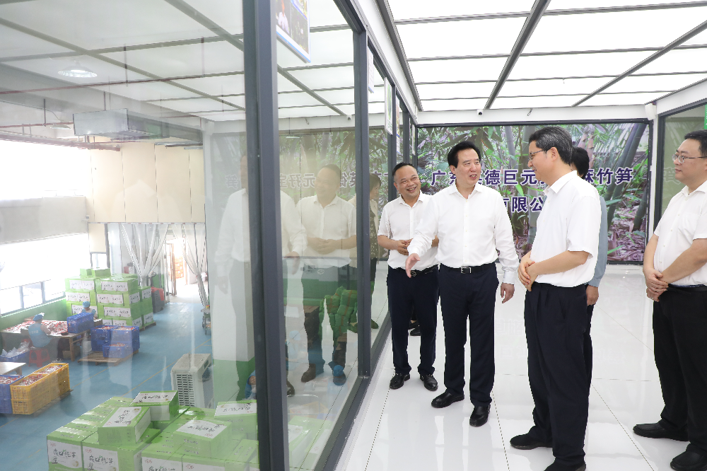 7月3日,省人大常委会主任黄楚平到巨元孖宝麻竹笋有限公司,调研企业依托自然禀赋,更好带动农民增收致富情况。李小萌 摄.jpg