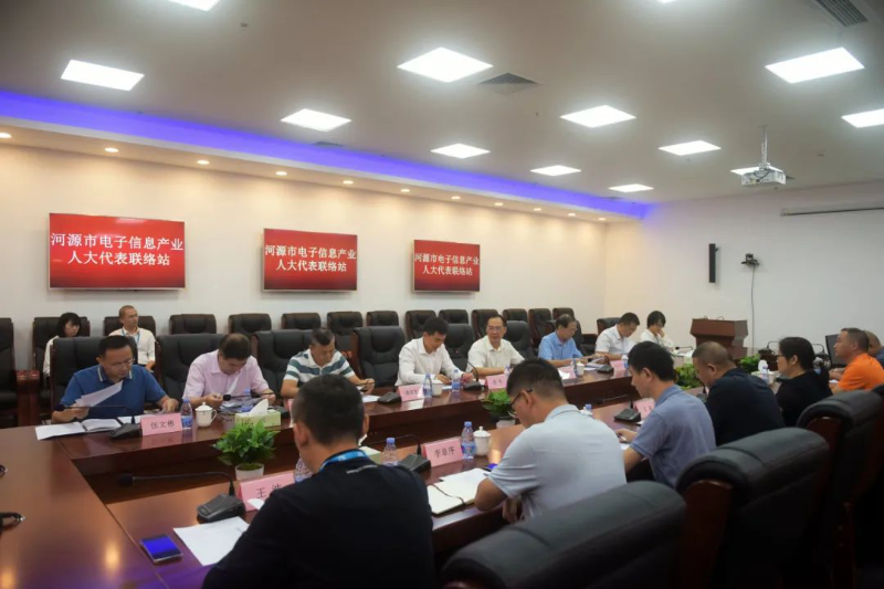 河源市电子信息产业人大代表联络站开展接待日活动。.jpg