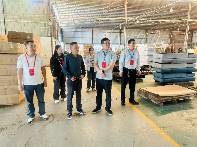 开展企业发展及安全专项视察.jpg
