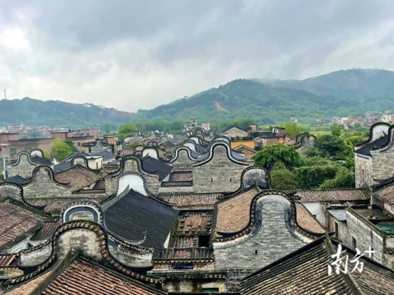 网3-1 - 副本.jpg