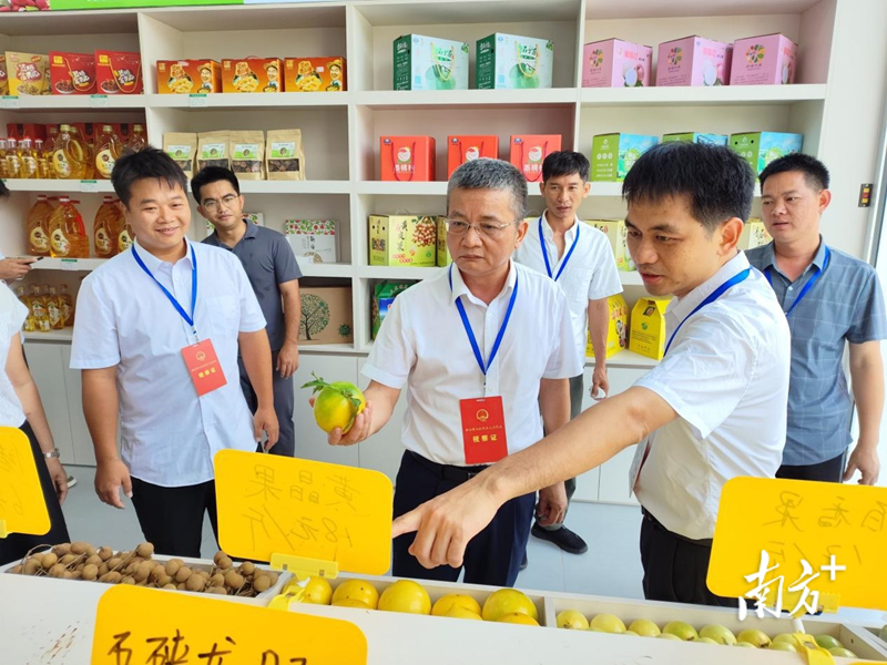 网 4-1 - 副本.jpg