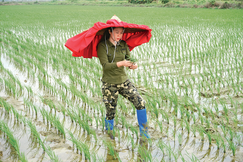 林家如3 - 副本.jpg