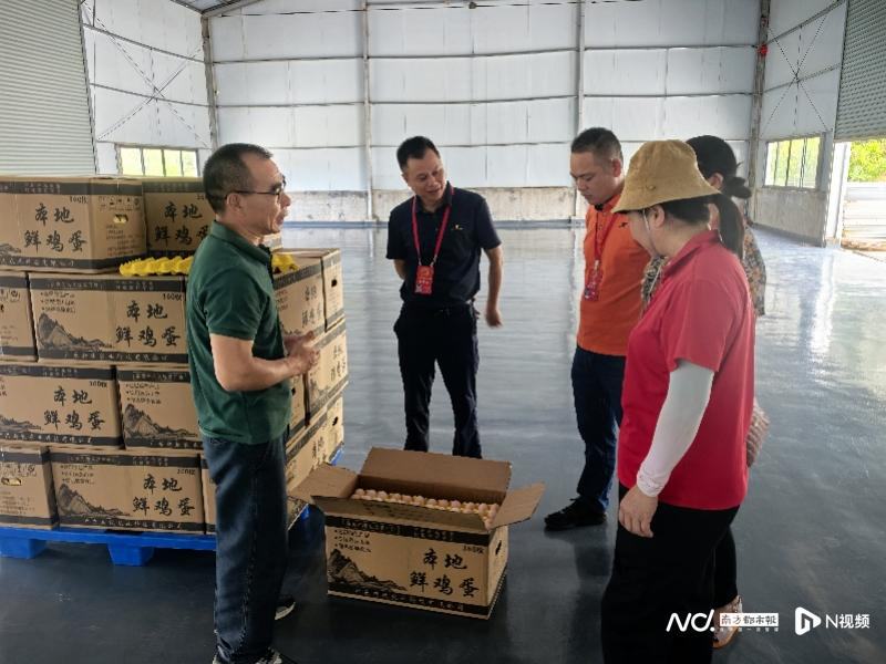 1 遥田镇第四片区人大代表联络站的代表视察羽蛋鸡产业园。.jpg